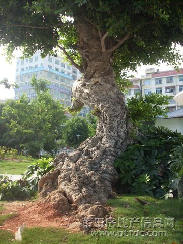 天九湾广场 (8).jpg