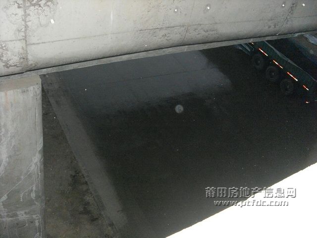 荔园路立交桥T.JPG