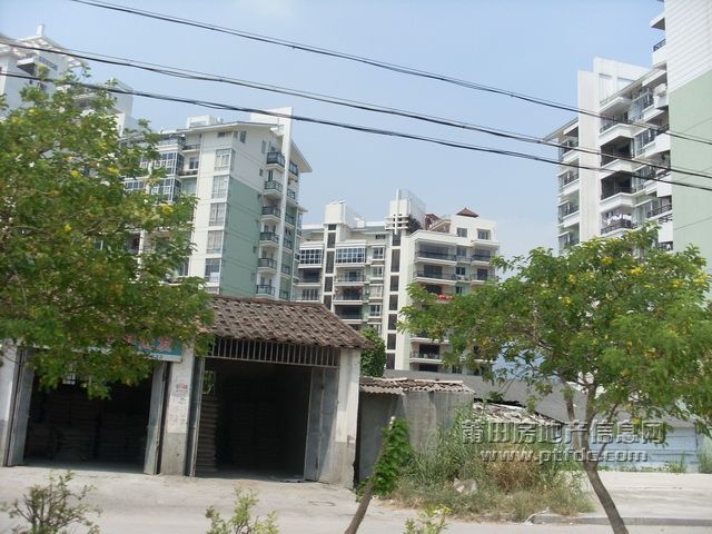 学园路 (19).JPG