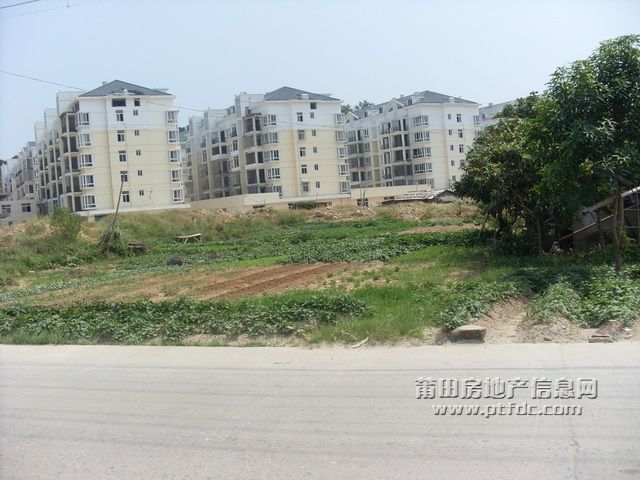 学园路 (27).JPG