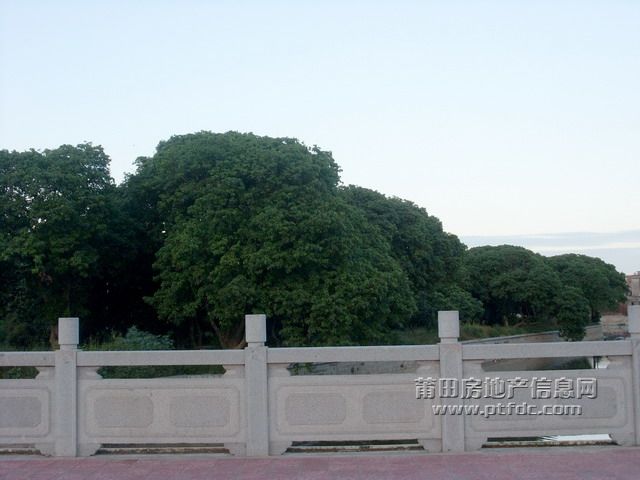 胜利南街 (32).jpg