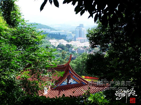 街景 (2).jpg