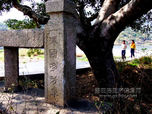 泗华陂 (8).jpg
