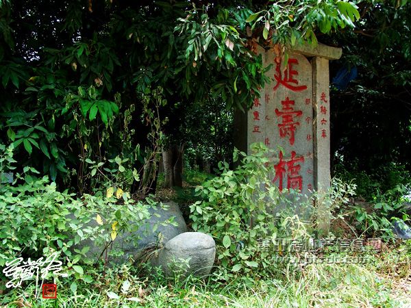 延寿桥.jpg