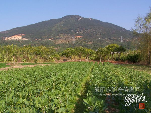 紫霄山 (2).jpg