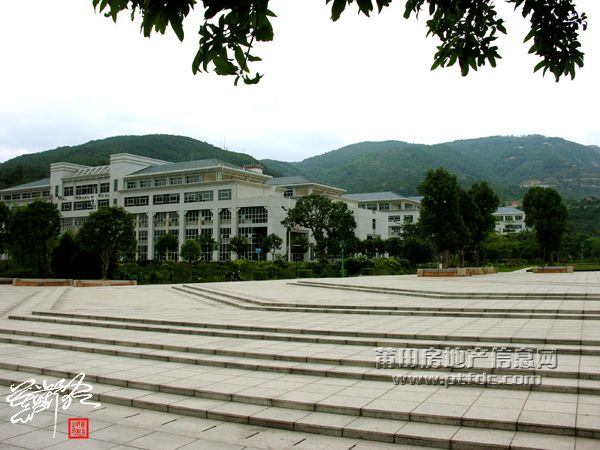 街景 (33).jpg