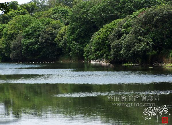 延寿桥 (11).jpg