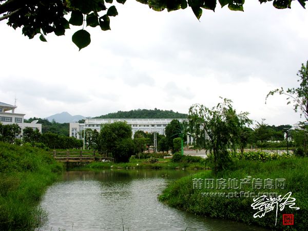 街景 (9).jpg