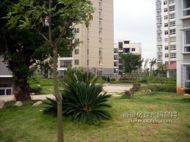 中福雅苑小区实景.JPG