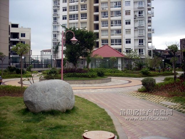 中福雅苑小区实景 (4).JPG