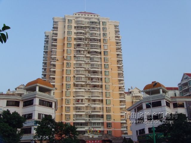 050.JPG