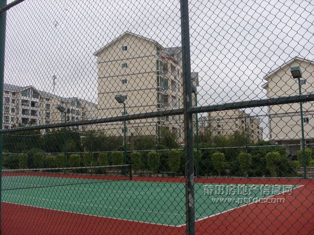 荔园小区网球场 (10).JPG