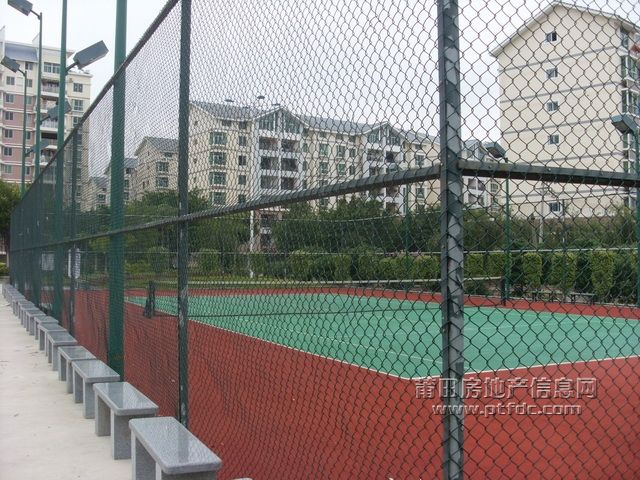 荔园小区网球场 (9).JPG