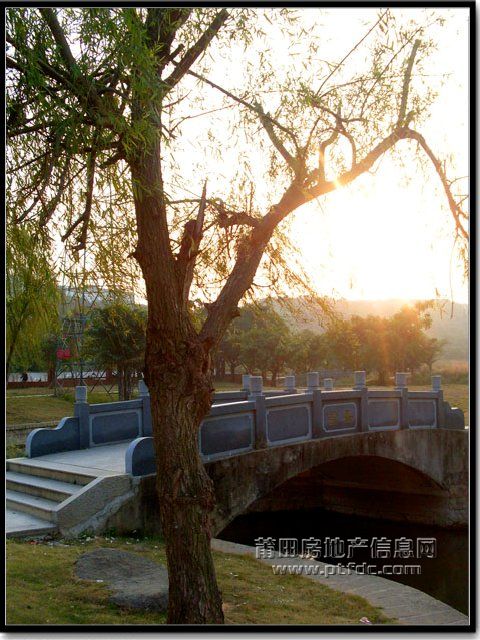 南湖公园 (18).jpg