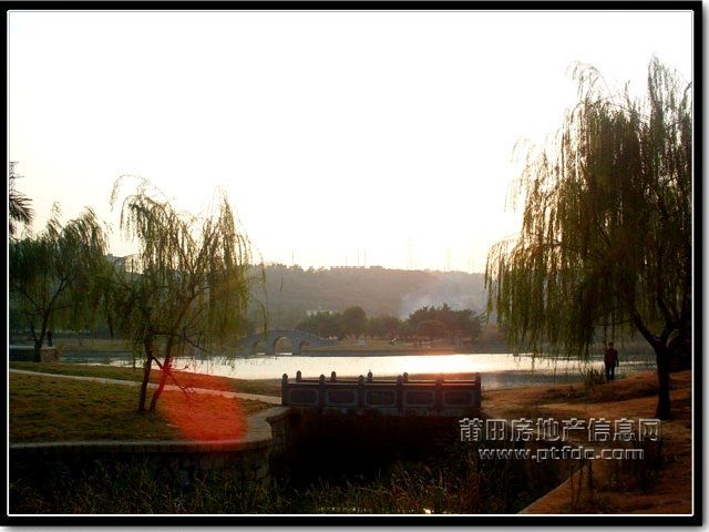 南湖公园 (2).jpg