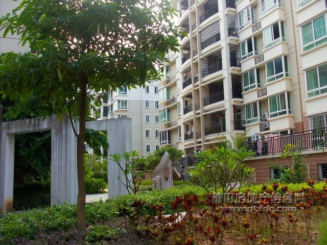 莆田200843.JPG