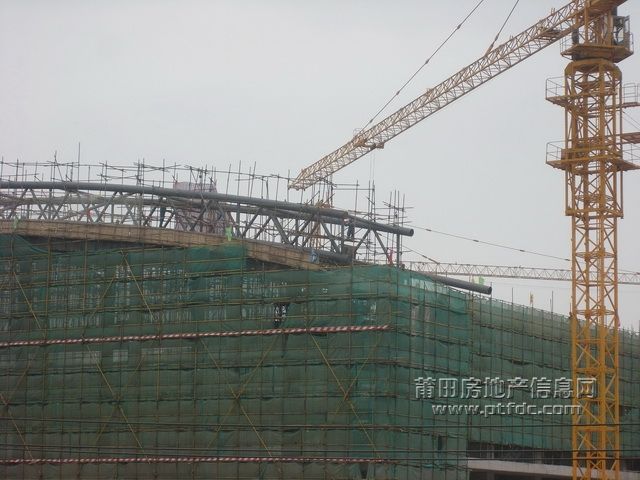 体育馆9.JPG