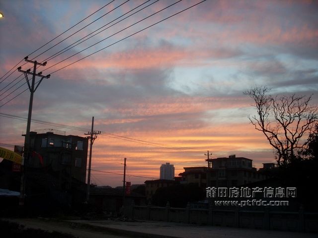 冬日傍晚14.JPG