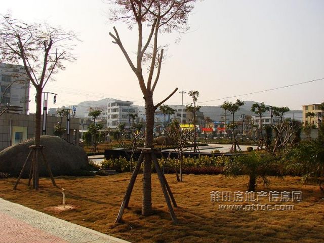 200802262006034476.jpg