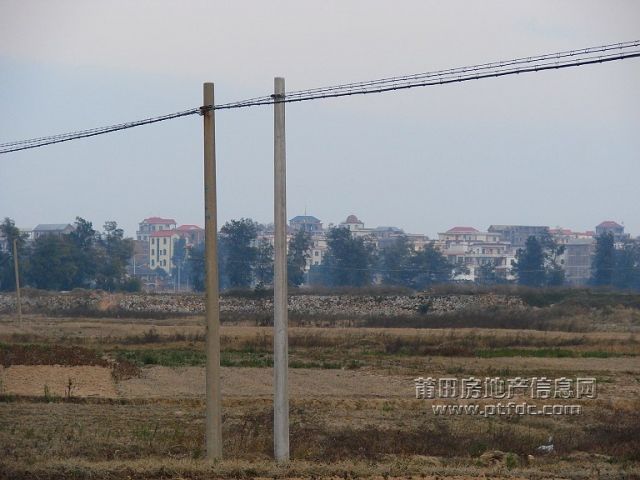 200802262128315126.jpg