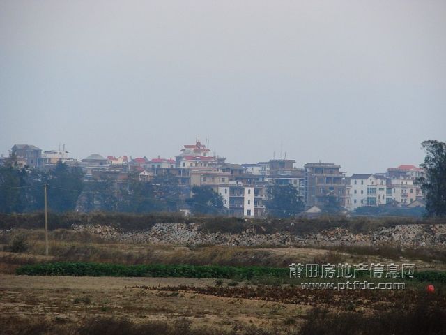 200802262127345149.jpg