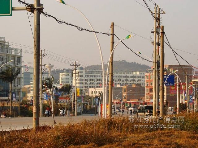 200802262053453788.jpg