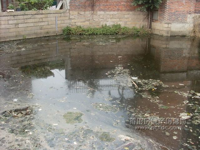 SL379553.JPG