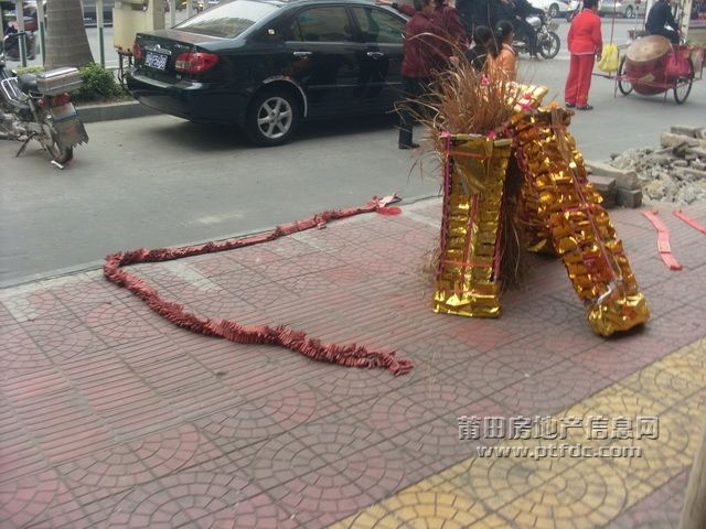 梅园西路闹元宵101.JPG