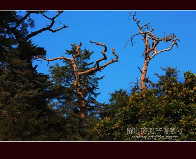 广化寺061.jpg