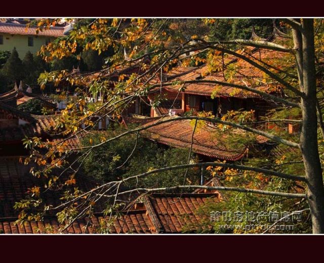 广化寺079.jpg