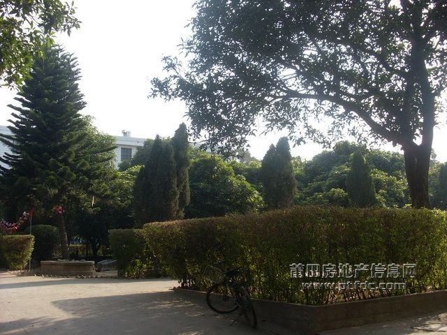 黄石63.JPG