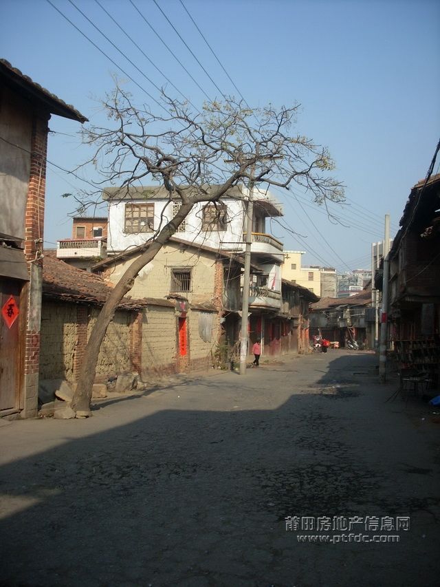黄石21.JPG