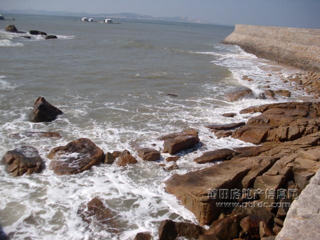 平海湾46.JPG