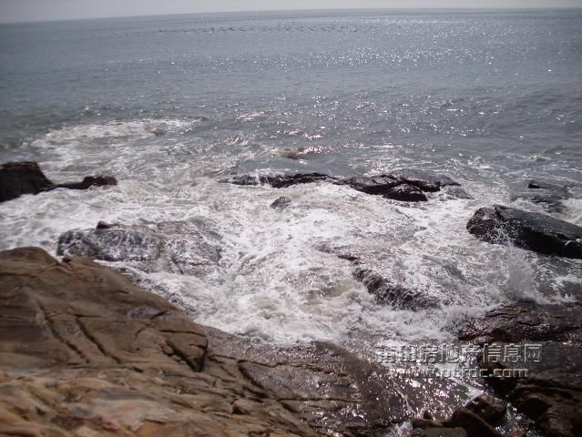 平海湾45.JPG