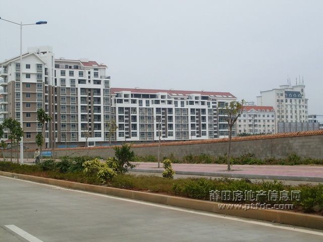 秀屿52.JPG