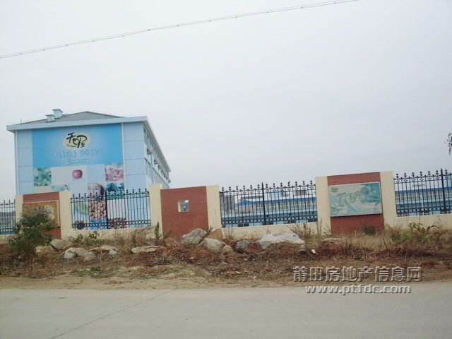 东庄04.jpg