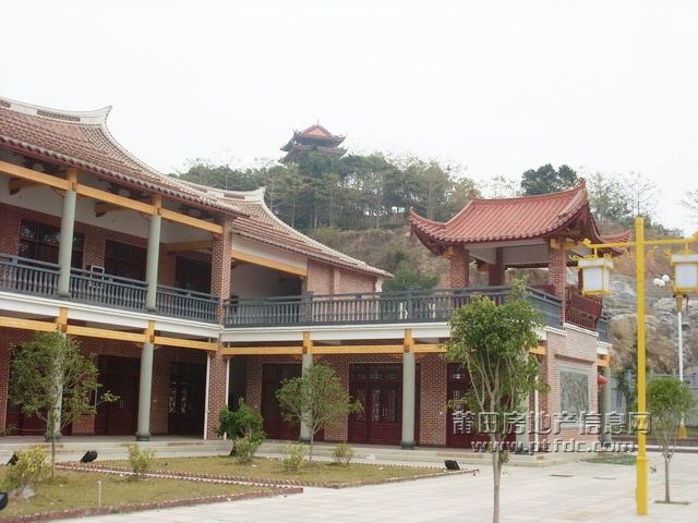 SL371959.JPG