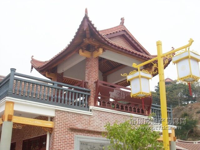 SL371962.JPG