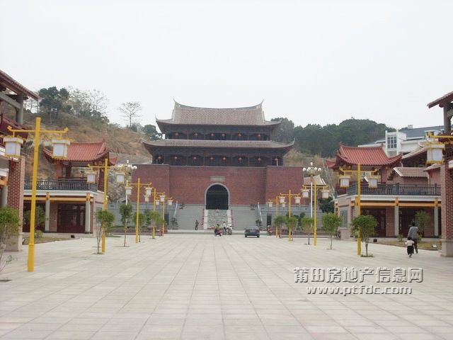 SL371956.JPG