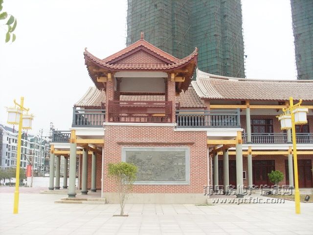 SL371947.JPG