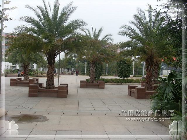 天九湾广场_13.JPG