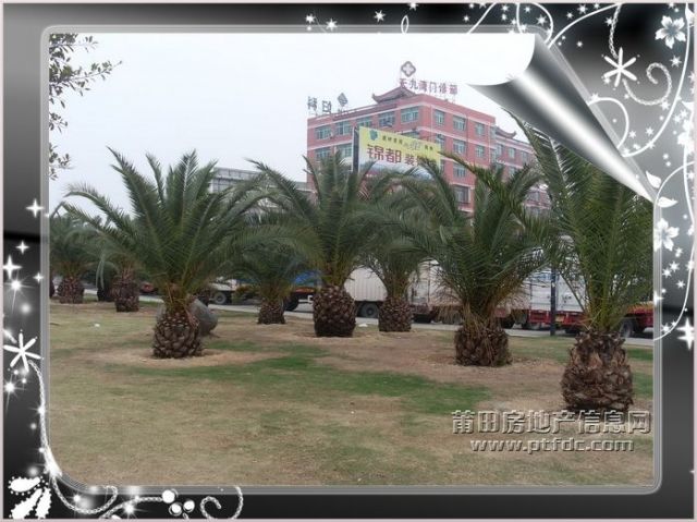 天九湾广场_18.JPG