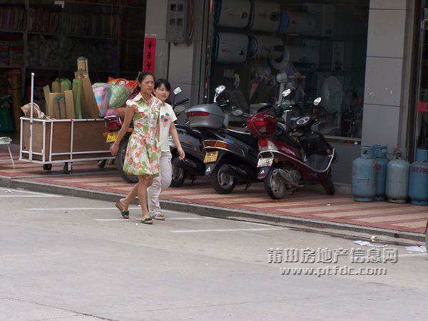 西天尾14.jpg
