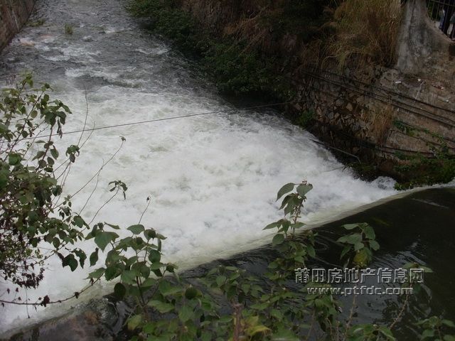 春潮5.JPG