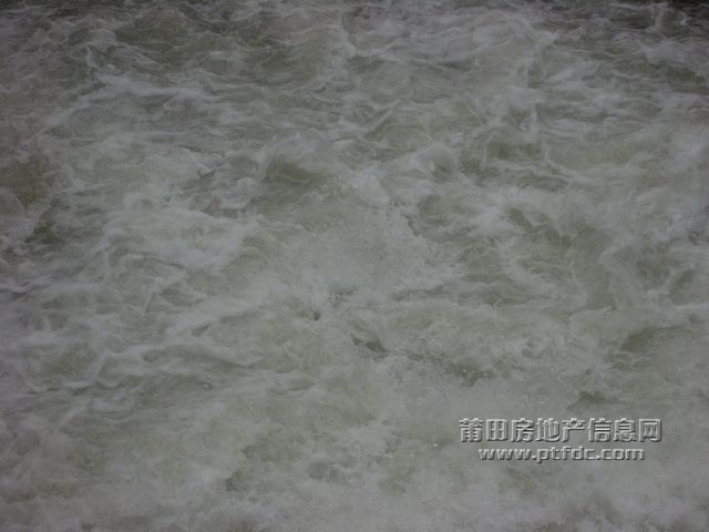 春潮12.JPG