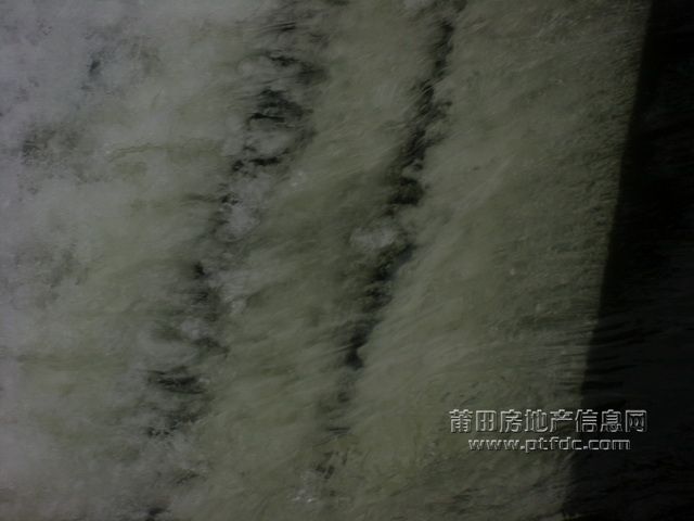春潮8.JPG