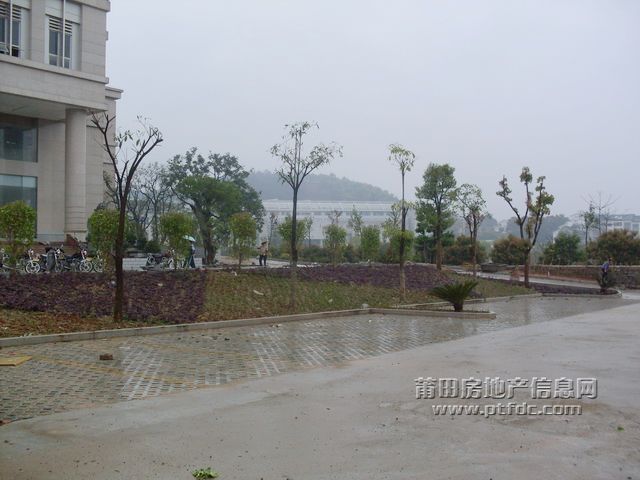 地税_10.JPG
