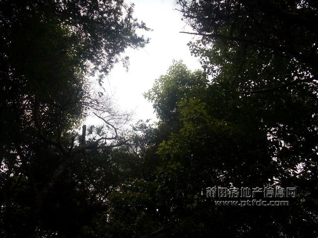 石室岩74.JPG