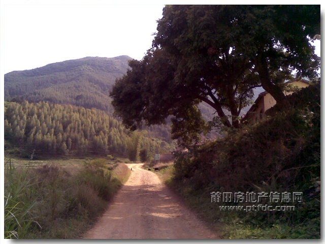 仙湖洞2005.jpg