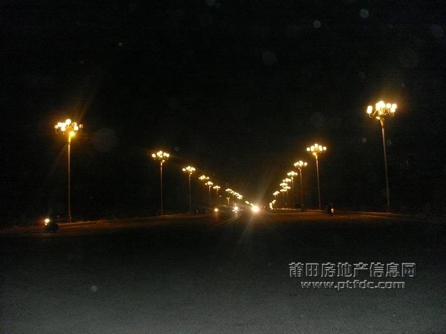 东园路夜色.JPG